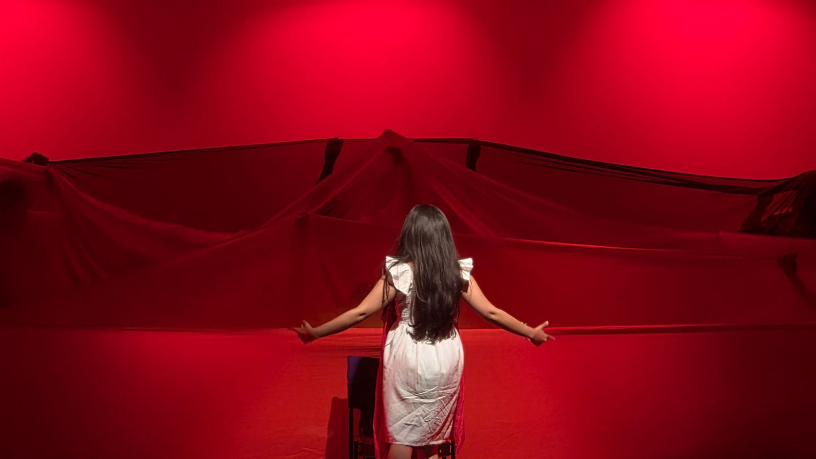 Performer seen from behind with arms outstretched against a red stage